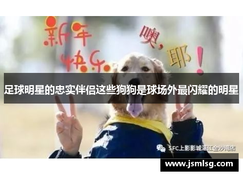 足球明星的忠实伴侣这些狗狗是球场外最闪耀的明星