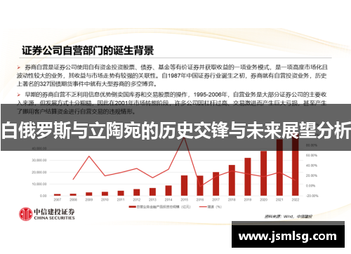 白俄罗斯与立陶宛的历史交锋与未来展望分析