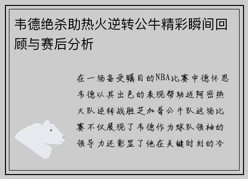 韦德绝杀助热火逆转公牛精彩瞬间回顾与赛后分析