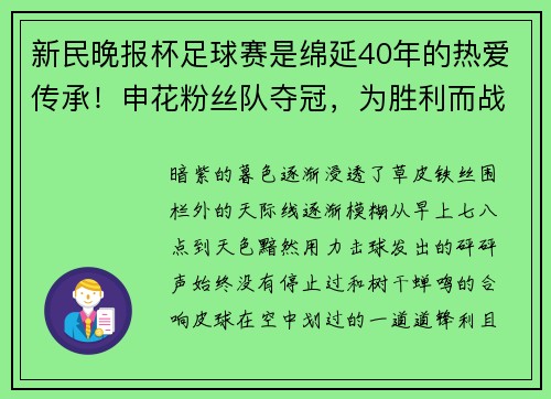 新民晚报杯足球赛是绵延40年的热爱传承！申花粉丝队夺冠，为胜利而战斗！